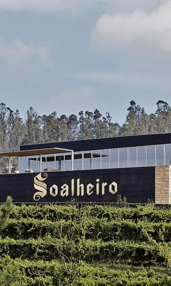 Quinta do Soalheiro Harvest